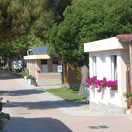 Camping Vallecrosia Exterior foto
