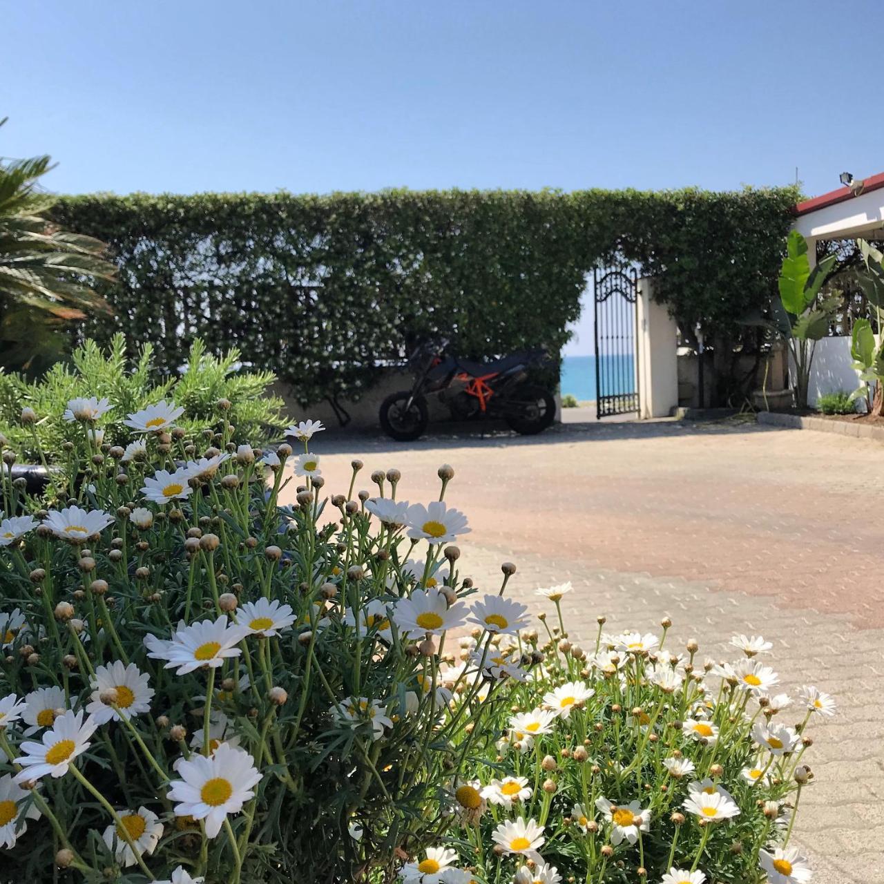Camping Vallecrosia Exterior foto